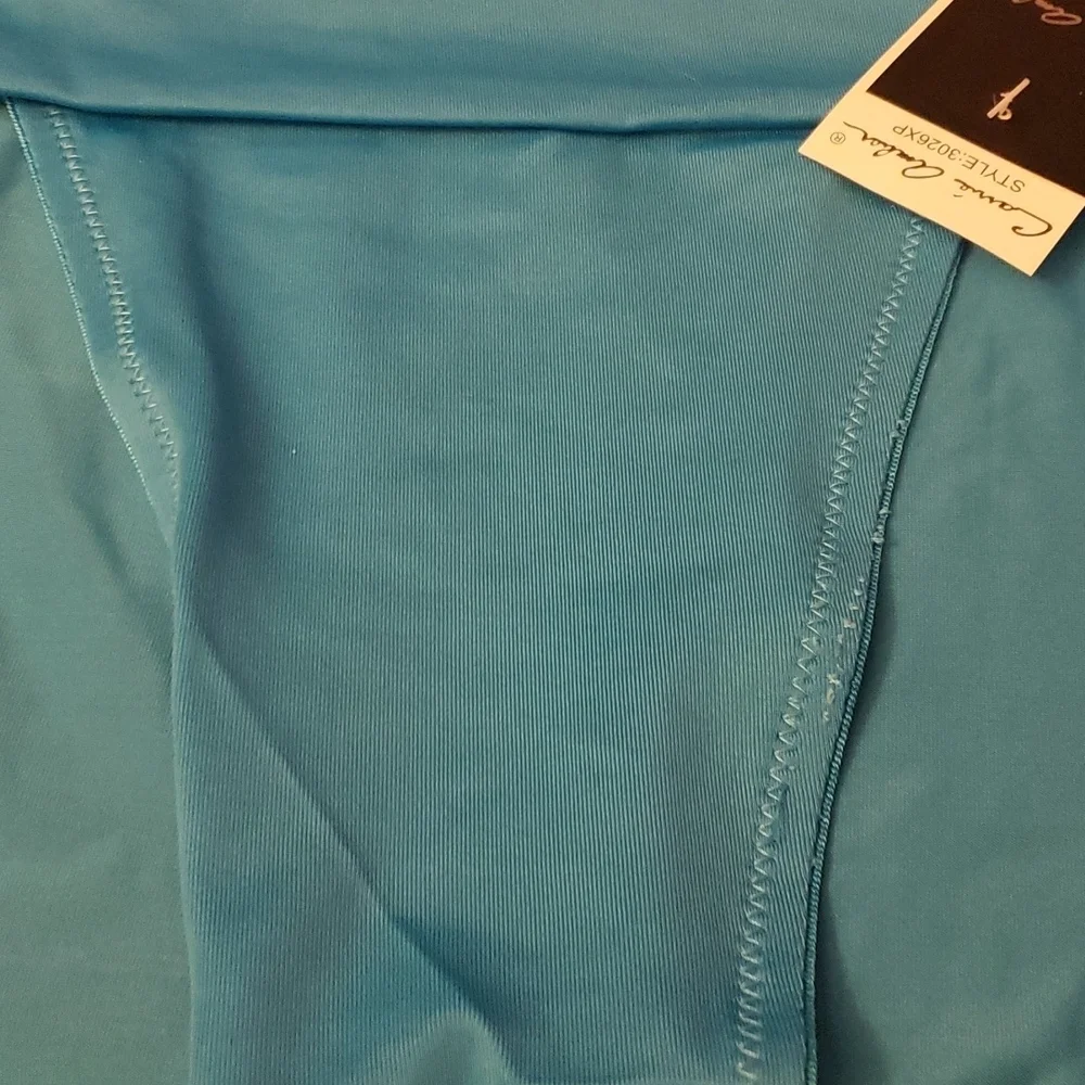 Carrie Amber Intimates High Cut Turquoise Panty Size 3XL (10) style 3026… - Picture 5 of 7